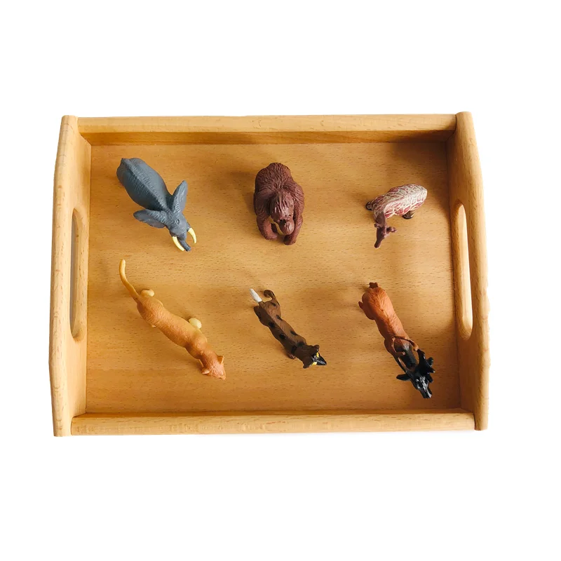 Montessori Biology Materials Glassland Wild Animal Figures Set Kids Learning Resources Early Childhood Education Toy, Mini Size