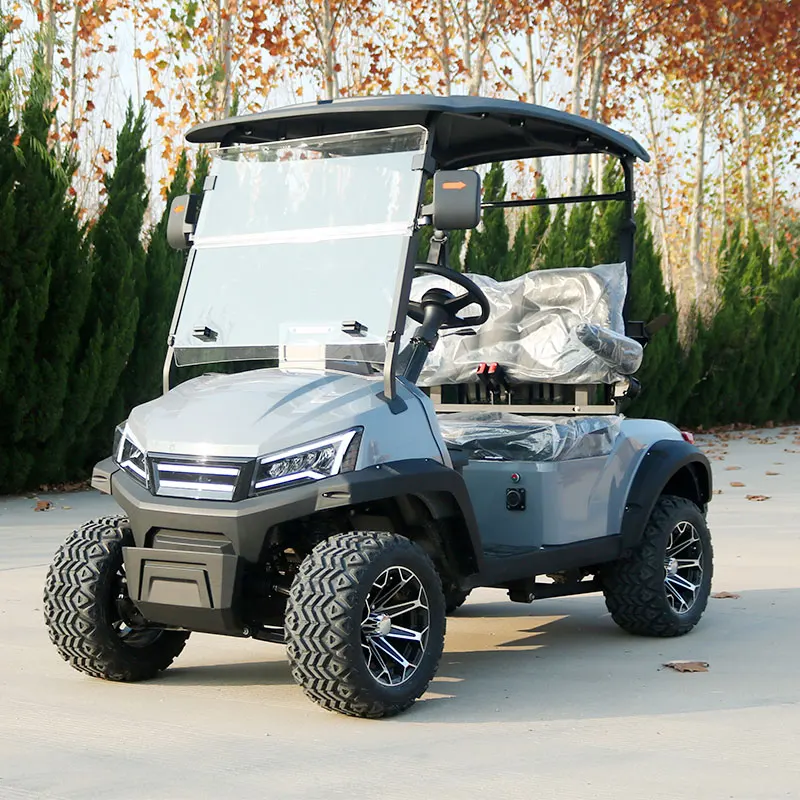 2 Seater Electric Golf Cart with Curtis Controller Compact Utility Vehicle for Resort Community Transportation
