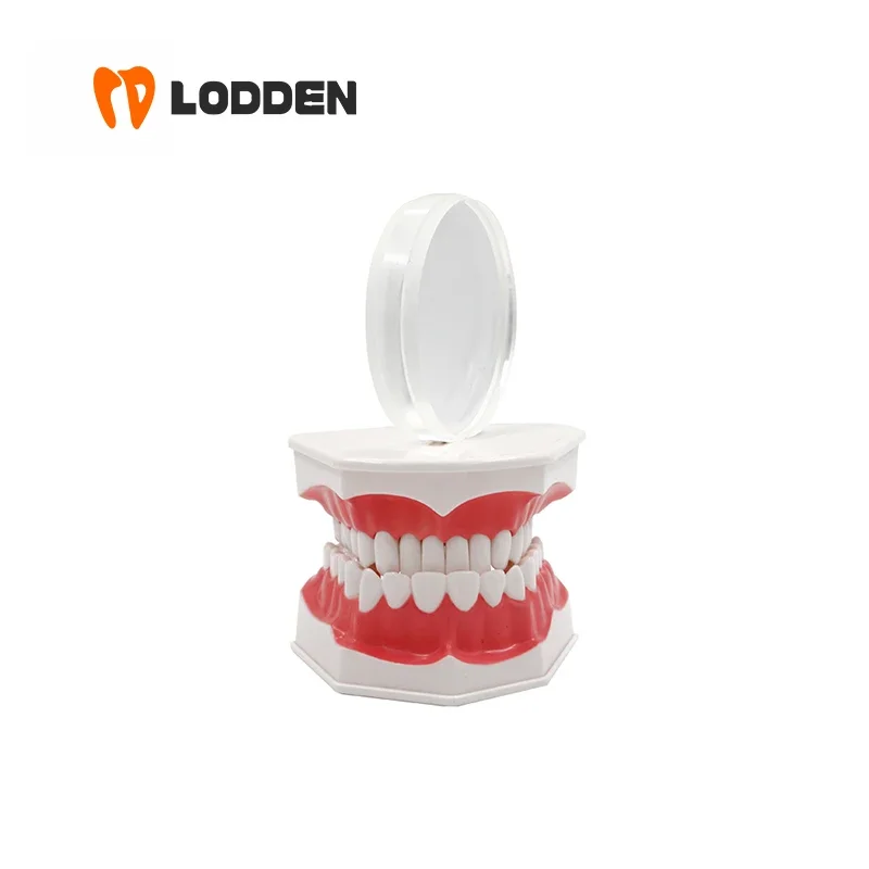 Lodden Clear Glossy Flexible PMMA Disk 12-25mm Dental Lab Material Resin Disc for 98mm CAM/CAD Open System