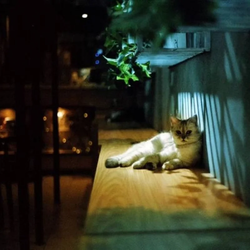 Nolan 5207 135 color Film Roll Negative Film ECN2 Processing ISO 200 36EXP/roll