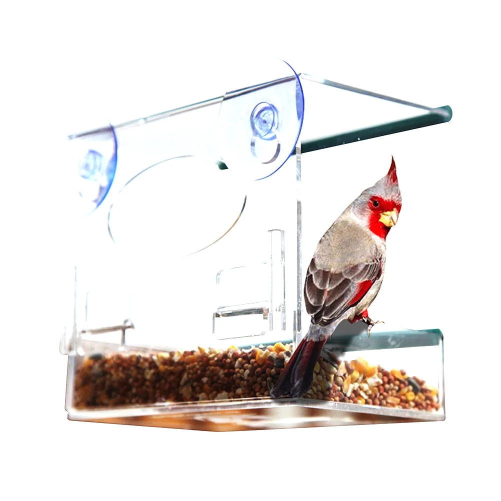 

Premium Transparent Bird Feeder Strong Suction Cups Hold on Glass Surface Extra Deep Feed Tray with Divider for Multiple Food