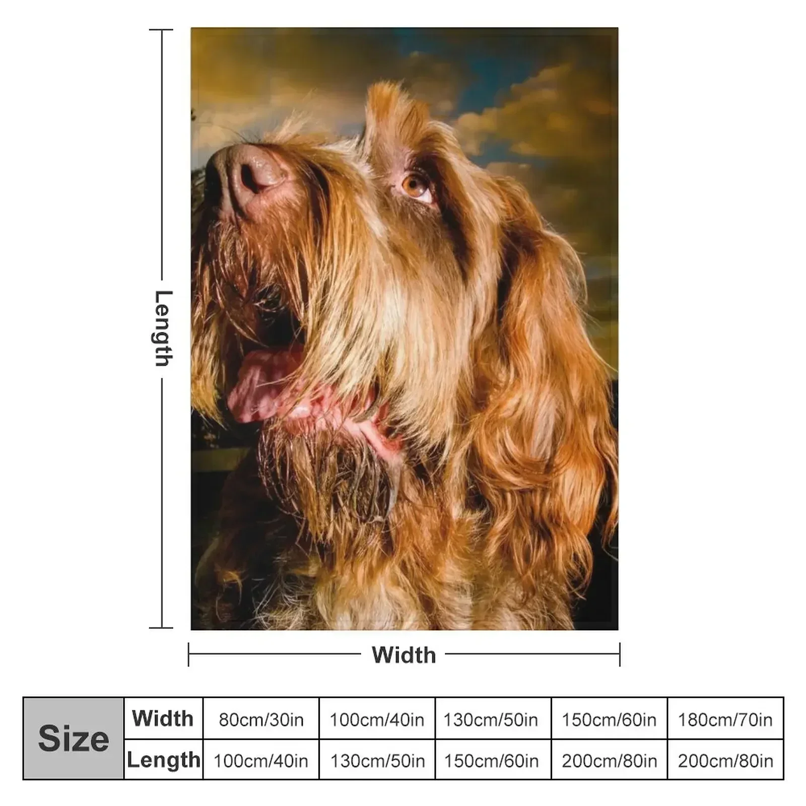 New Star light, star bright Spinone Throw Blanket couch cozy soft plush fuzzy picnic outdoor blanket
