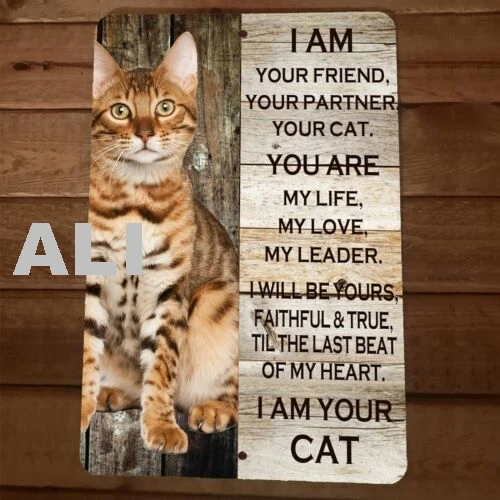I am Your Bengal Cat 8x12 Metal Wall Animal Sign Poster sign