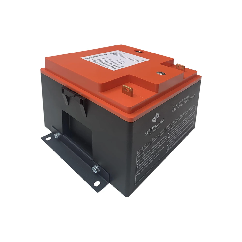 In Series or Parallel LiFePO4 Battery 12V 100Ah with BMS lithium Ion Energy Storage RV Camper Solar Marine Golf Carts