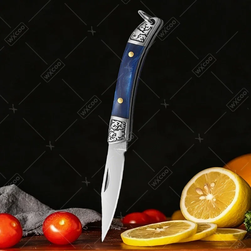 WXCOO Mini Pocket Knife with Non-slip Handle Folding Knife Multifunctional for Household Cooking Fruit Paring Knife