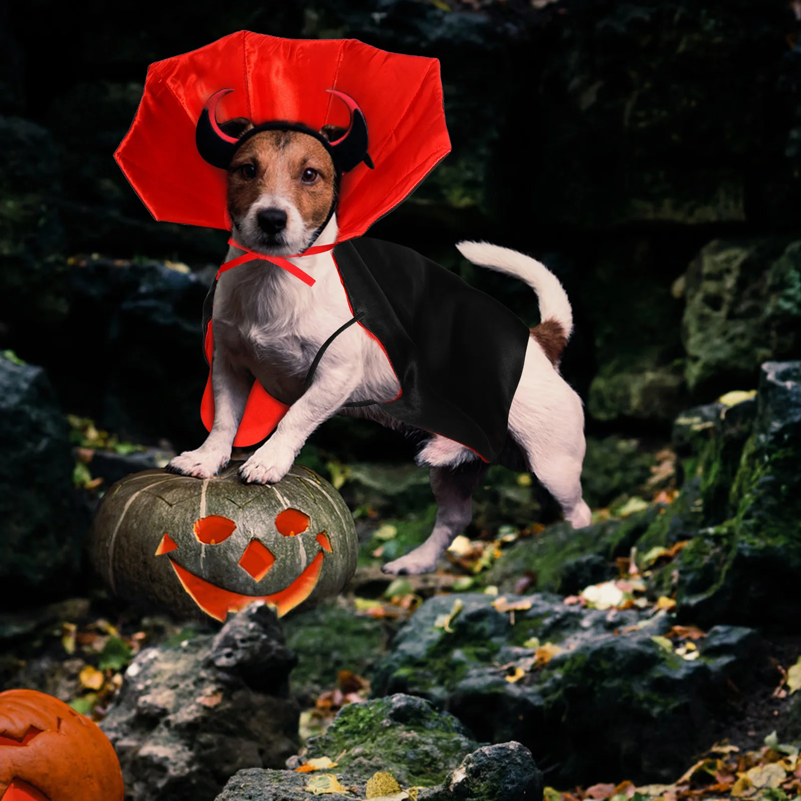 

Halloween Costume Dog Cloak: Pet Vampire Devil Outfit - Halloween Cosplay Pet Cloak Apparel for Small Medium Dogs & Cats Dress U