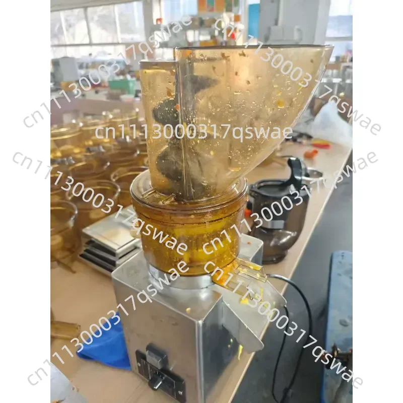 750W Multifunctional Powerful Slow Speed Fruit Food Juicer Ginger Apple Cold Press Juicer