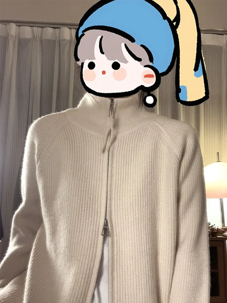 Coreano Sle Lazy f Collo alto Maglieria da donna Capispalla invernale Cappotto con cerniera vestibilità ampia Casual Calore quotidiano Faion