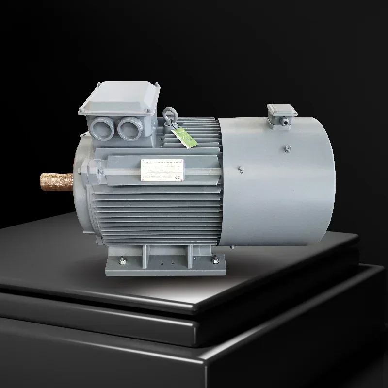 5kw 10kw low speed low torque free energy magnet generator brushless alternator electricity generation