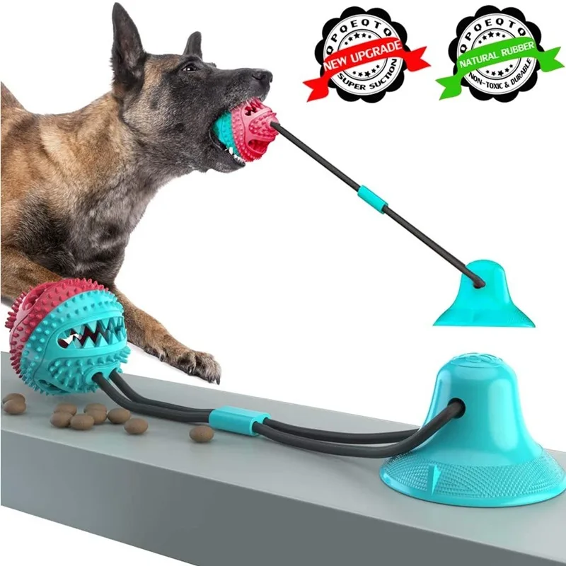 Pet Dog Puppy Molar Bite Toy Tug Rope Ball Chew Toys Tooth Cleaning Suction Cup