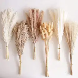 Dried Pampas Grass Bouquet Boho Table Decor Bunny Tails Dry Flower Pompas for Wedding Home Party Outdoor Fake Flowers Decoration