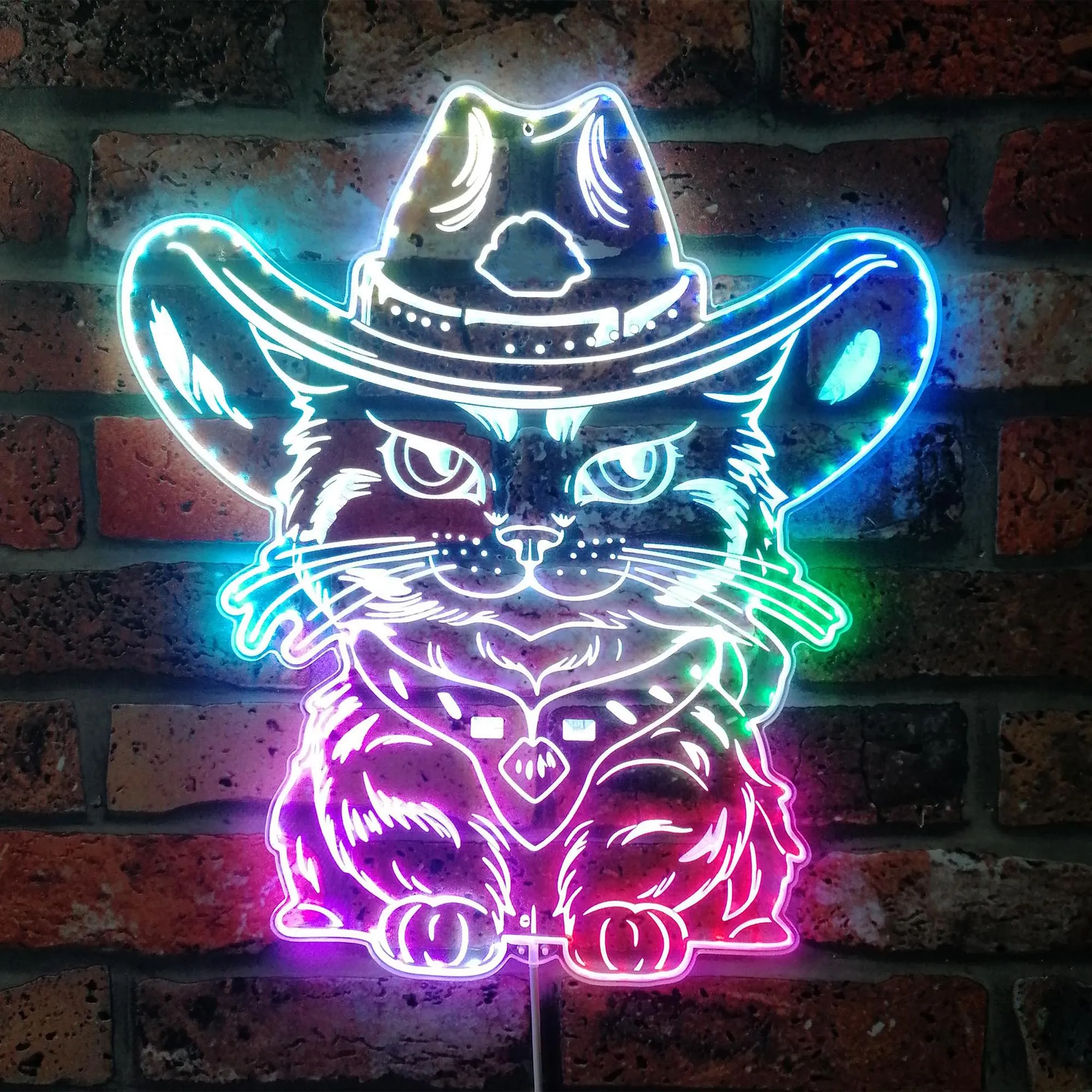 

Cowboy Cat Western Hat RGB Dynamic Glam LED Sign st06-fnd-i0298