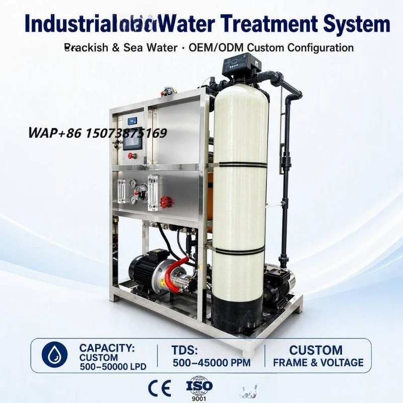 Containerized Seawater Desalination System for Emergency Relief Village Water Supply Mobile RO Plant Turnkey