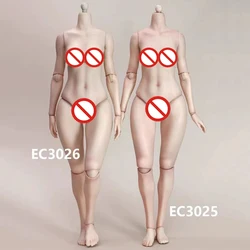 in Stock EC3025 EC3026 1/6 Female Peach Buttock Joint Body 12'' Soldier White Light Wheat Action Figure Middle Large Bust Body