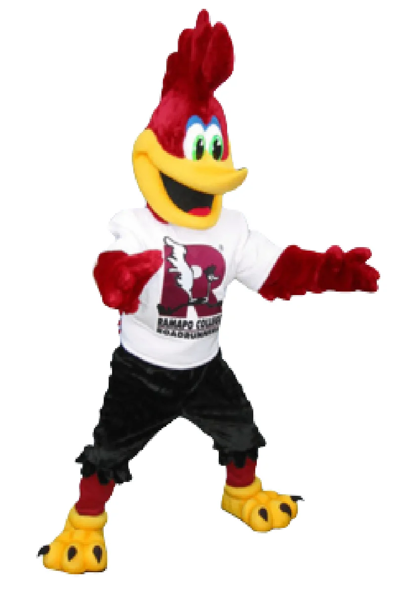 Ptak Roadrunner Rampo kostium maskotka niestandardowy fantazyjny kostium anime zestaw cosplay mascotte motyw przebranie kostium karnawałowy b0470