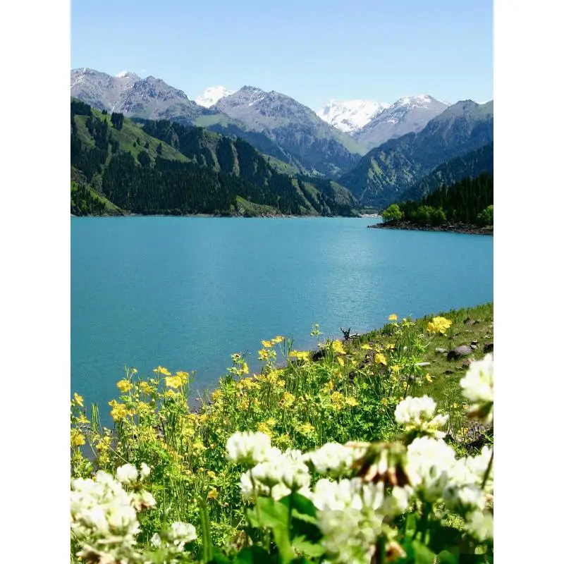 

3 Feet USB Charger Cable for Fossil Hybrid HR Smartwatch Fast Charging Cord