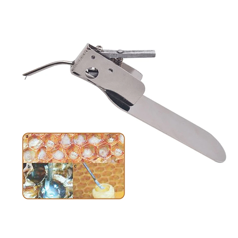 

Stainless Steel Beekeeping Queen Rearing Worm Moving Transferring Needle Master Grafting Tool with Spare Tongue