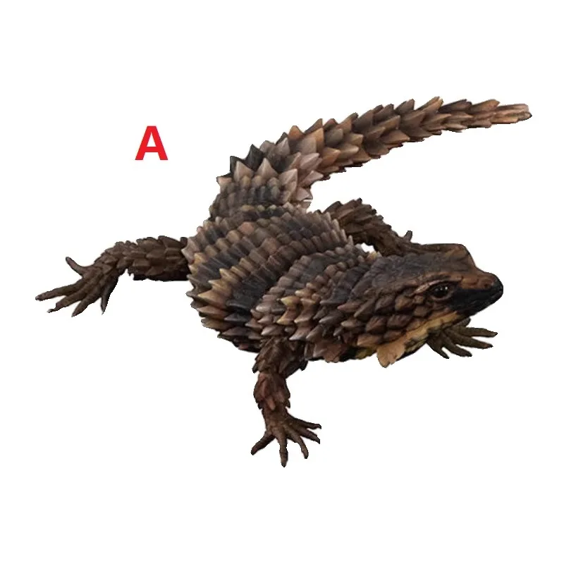 สารานุกรมชีวภาพของแท้ Bandai, รุ่นพิเศษ, จิ้งจก Armadillo, ตุ๊กแกเสือดาว, รูป, โมเดล