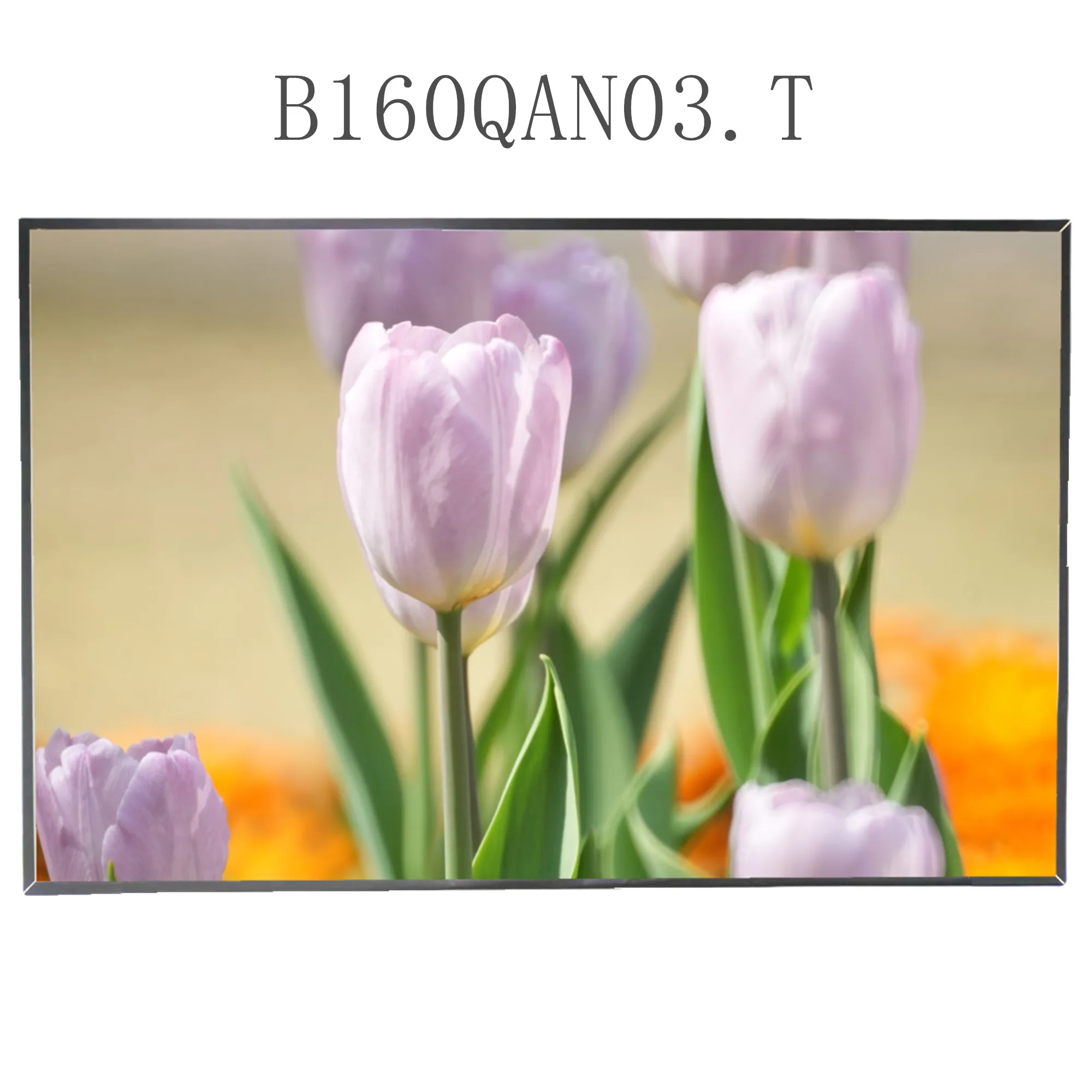 B160QAN03.T 16.0'' Laptop LCD Screen Display Panel Matrix 2560X1600 IPS 40 Pins