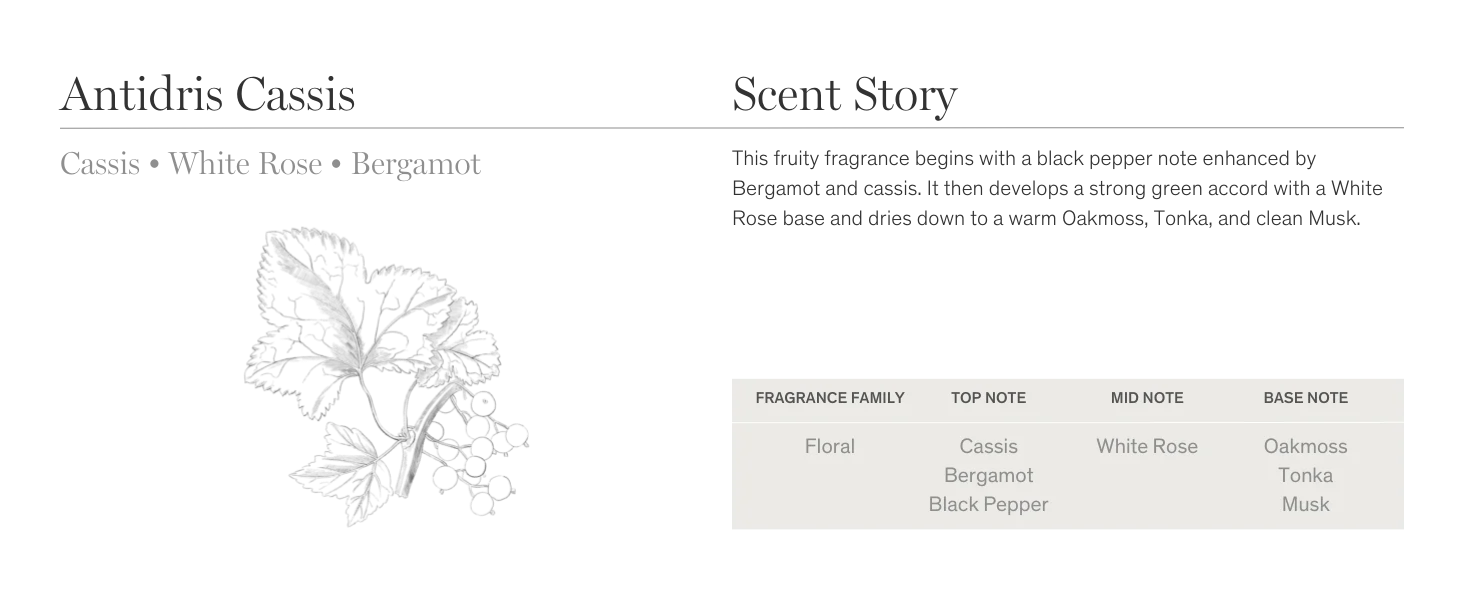 Antidris Cassis. Floral: Notes of Cassis, White Rose, and Bergamot.