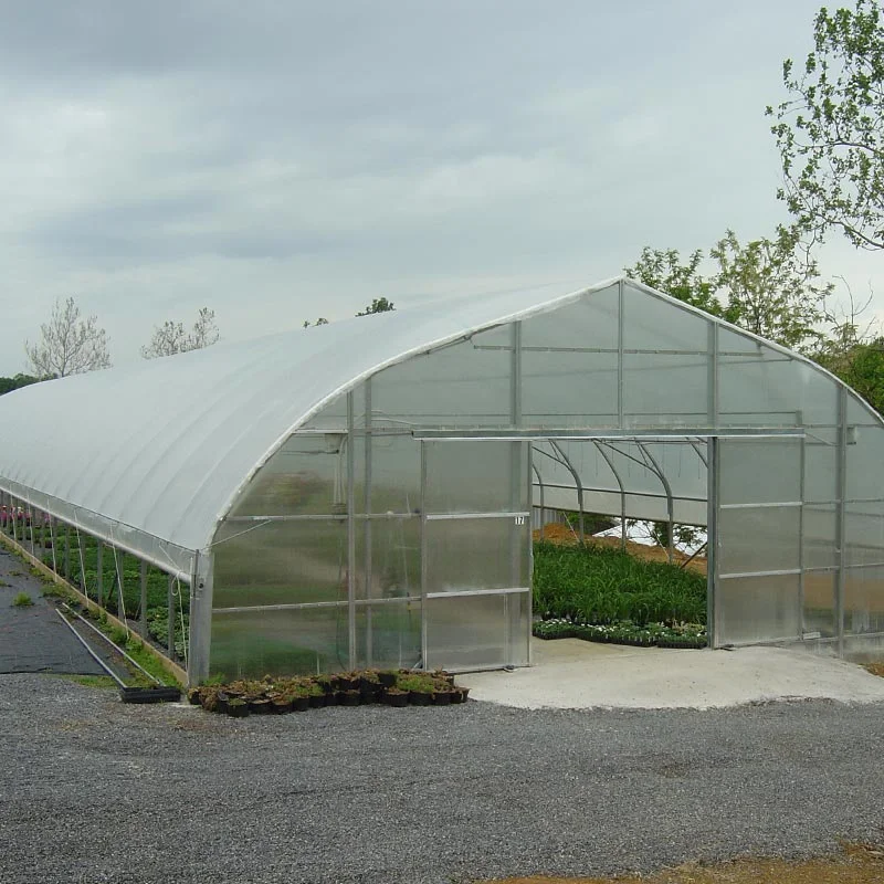 

Customized greenhouseLow Cost PE Film Vegetable Greenhouse Agricultural Tunnel Greenhouse Single Arch Hydroponic Greenhouse for