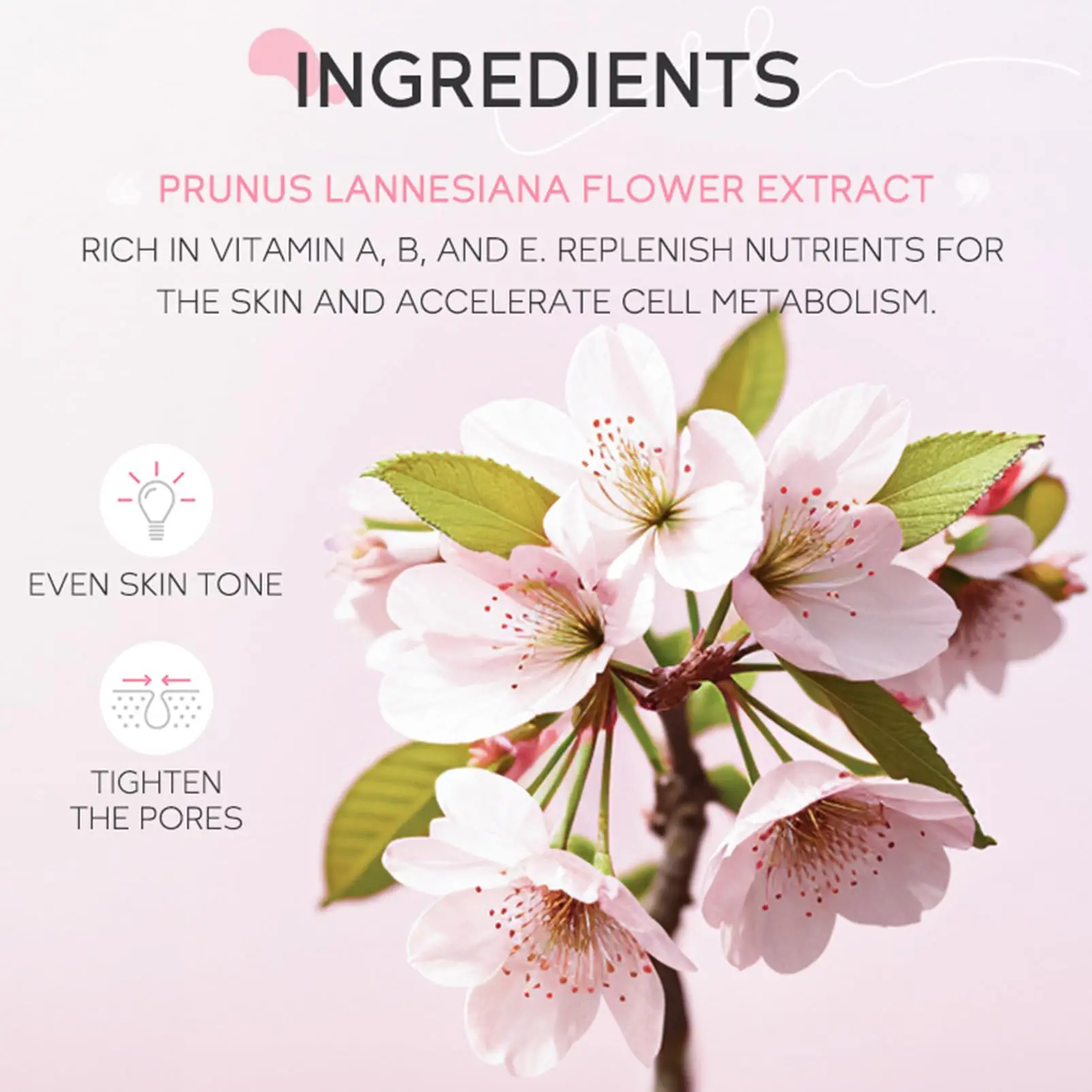Sakura Foam Cleanser: Gentle Care for Sensitive, Acne-Prone Skin
