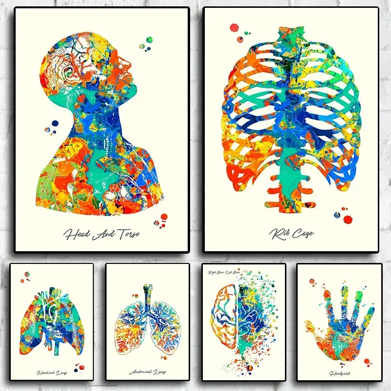 Pop Vintage Colorful Human Anatomy Poster Aesthetic Hand Heart Lung Canvas Painting Living Room Bedroom Home Decor