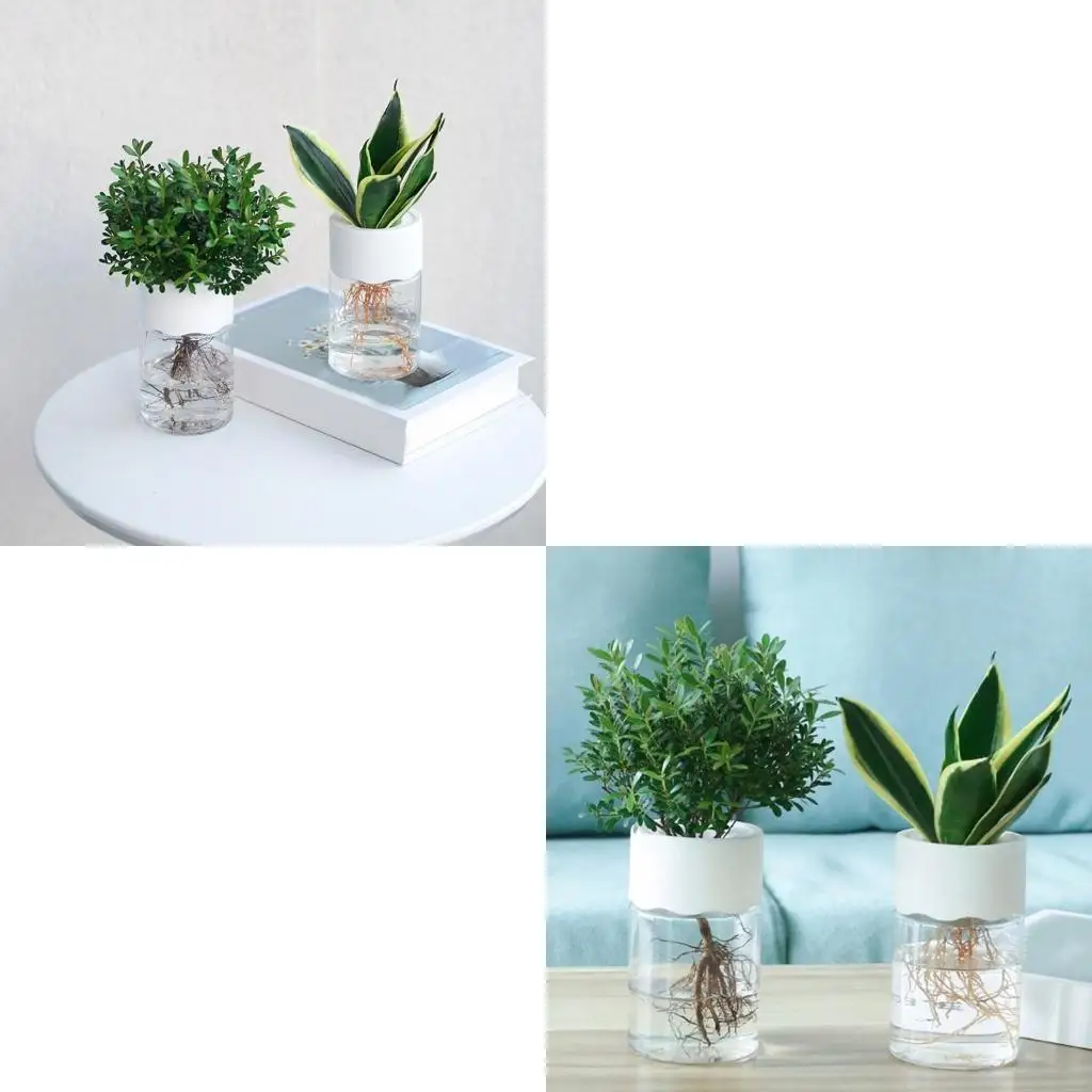 F19B Miniature Hydroponic Flower Planter Vase Container Decoration Transparent Imitation Glass Soilless Plant Pots for Indoor
