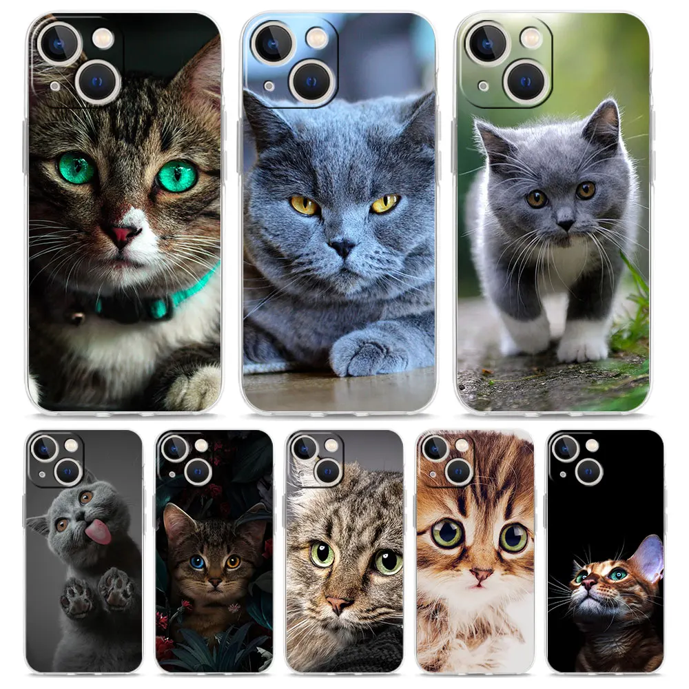 Cartoon Cute Cats Background Luxury Clear Phone Case For iPhone 15 16 14 13 12 11 Pro Max XS X XR SE 7 8 Plus Shockproof Cover
