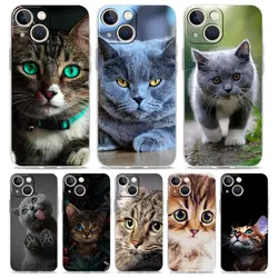 Cartoon Cute Cats Background Luxury Clear Phone Case For iPhone 15 16 14 13 12 11 Pro Max XS X XR SE 7 8 Plus Shockproof Cover