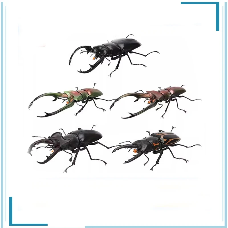 

BANDAI Gashapon Allomyrinadichotoma Movable Lucanus Hermani Delisle Simulation Insect Childhood Memories Figure Model Toys