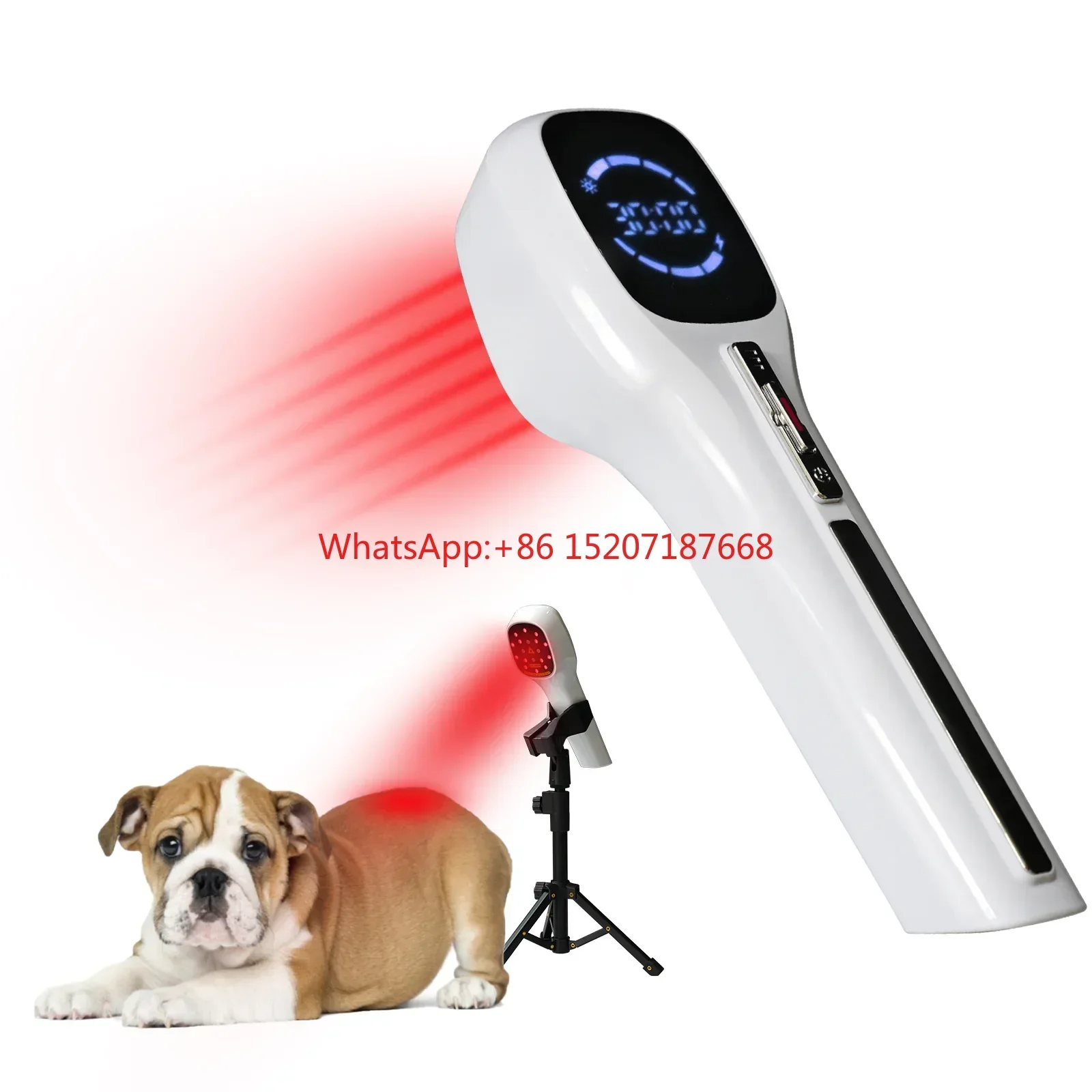 Cold laser therapy  650nm 808nm household medical device pain relief anti-inflammation arthritis treatment for pets dog cat