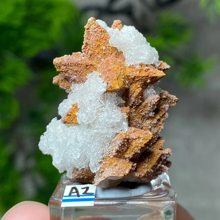 Natural Calcite Stone Yellow Crystal Cluster Mineral Specimen Energy Healing Raw Quartz Rock Home Decoration Collection+Bracket