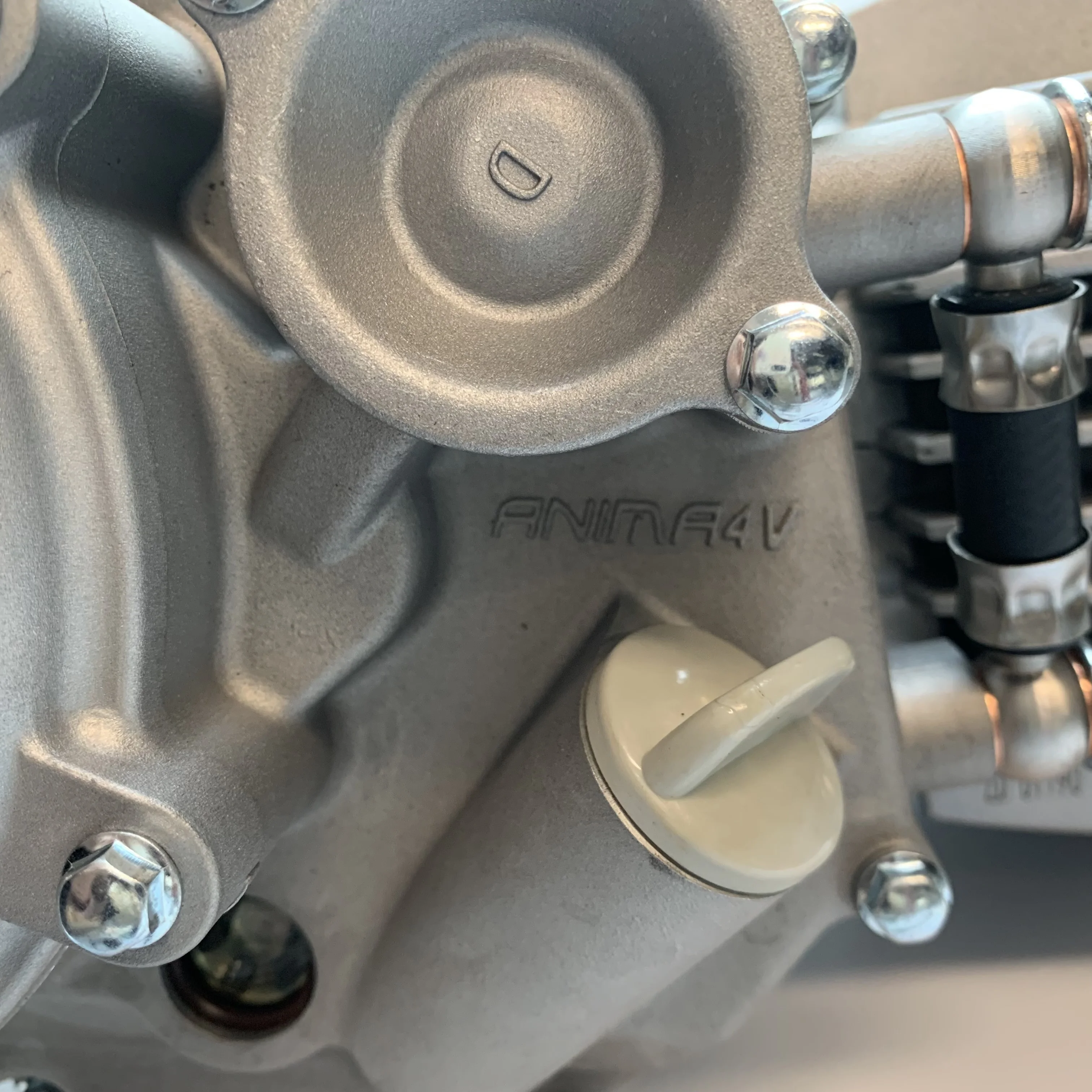 Daytona FSM Kick Start 190cc Motor de 4 válvulas Pit Bike Motor daytona anima 190 para amostra