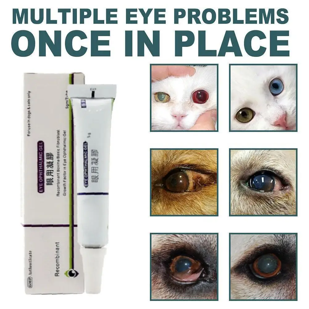 مرهم العين لالتهاب القرنية للحيوانات الأليفة
