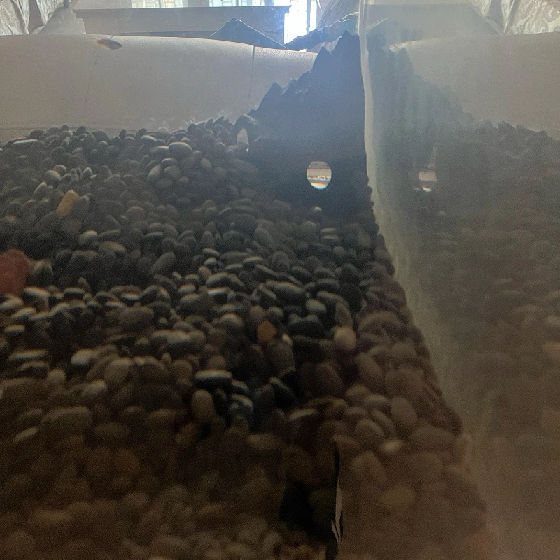 Aquarium-Dekoration, Aquarium- – Aquarium Fish Parrot Bewertung und Preis