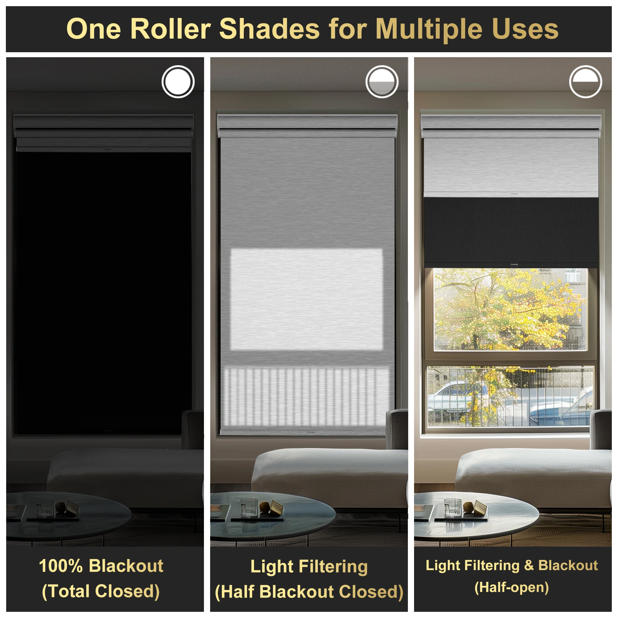 BERISSA Cordless Dual Roller Shades with Cassette Valance,Double Window Shades Blackout & Light Filtering Shades,Day Night Blind