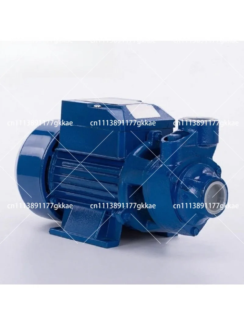 Household Water Pump 220V High Lift QB60 Single Phase 110V Pure Copper 1 Inch Small Boiler Booster Pump