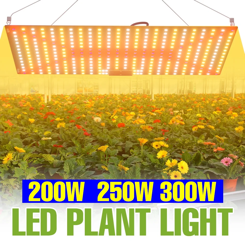

Светодиодная лампа для растений 300 Вт, полный спектр, Quantum Board, для суккулентов, теплиц, гидропоники, выращивания овощей, вилка US/EU