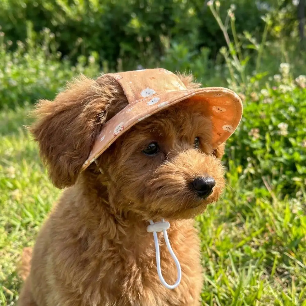 Adjustable Dog Fisherman Hat Breathable Cartoon Print Cat Bucket Hat with Ear Hole UV Protection Pet Sun Cap Small Dogs Cats