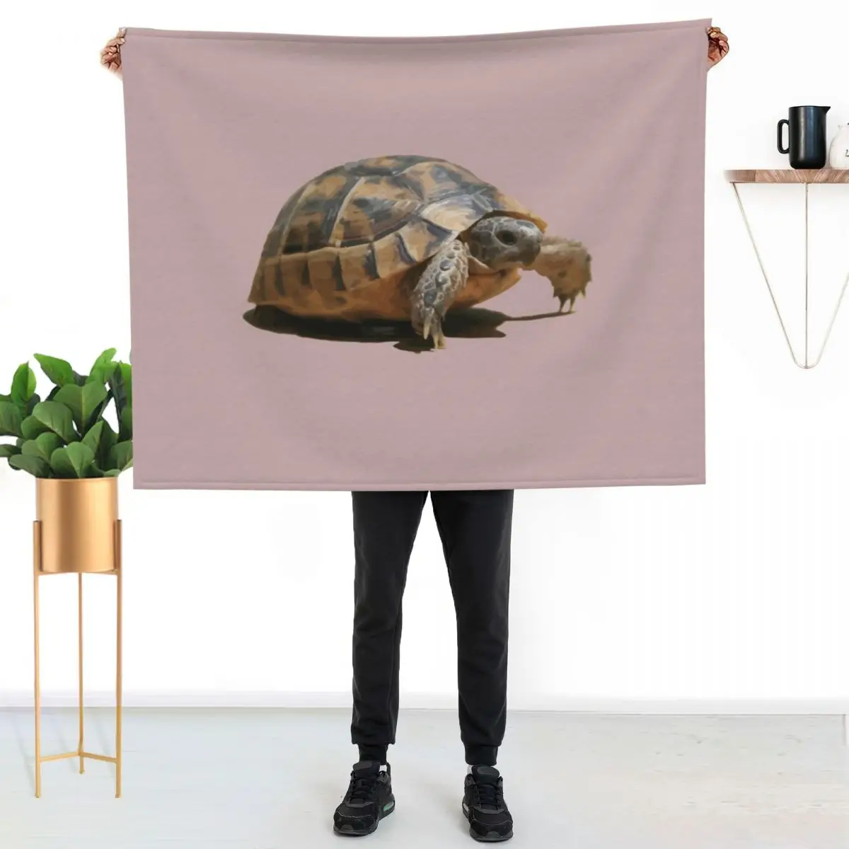 Portrait of a Young Wild Tortoise Isolated Throw Blanket couch cozy soft plush fuzzy picnic outdoor blanket