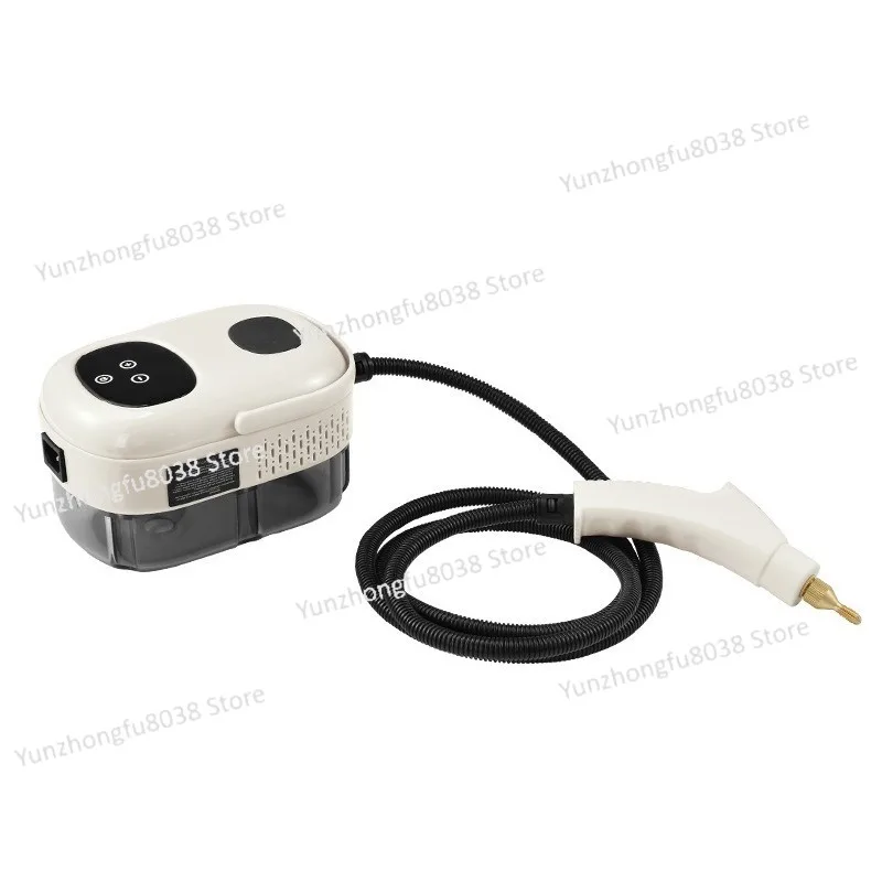 

High Pressure and High Temperature Steam Cleaner Small Cleaning Machine 220V