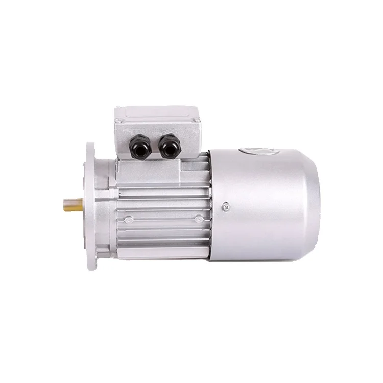 

YS Series Small Power Three Phase Asynchronous AC Motor Three Phase Induction Motor Three Phase Motor