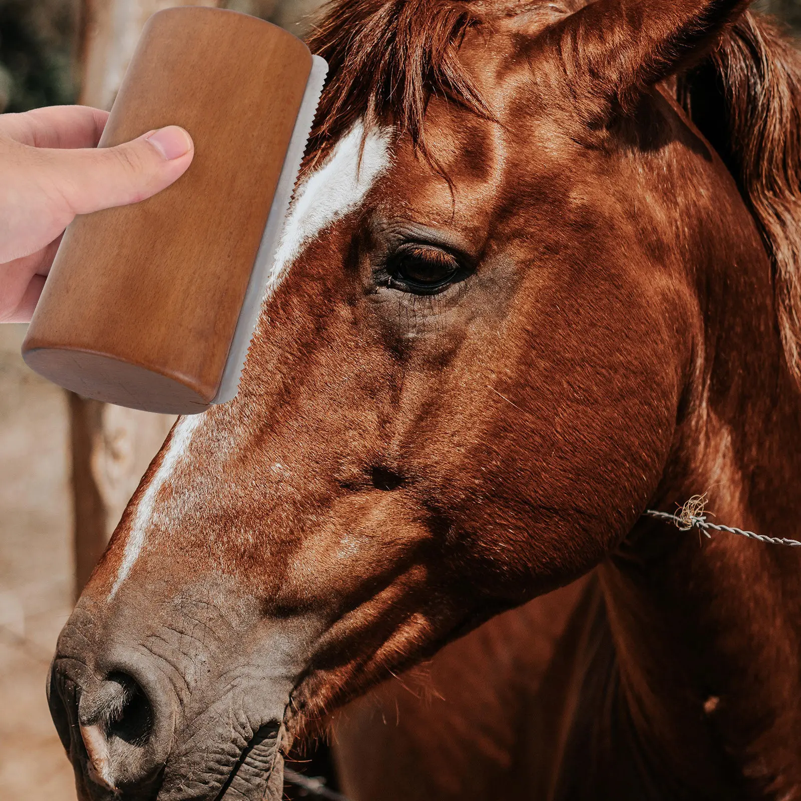 

Horse Grooming Tool Wood Sweat Scraper Serrated Design Comfortable Grip Efficient Grooming Daily Stable Care Horse Cleaning