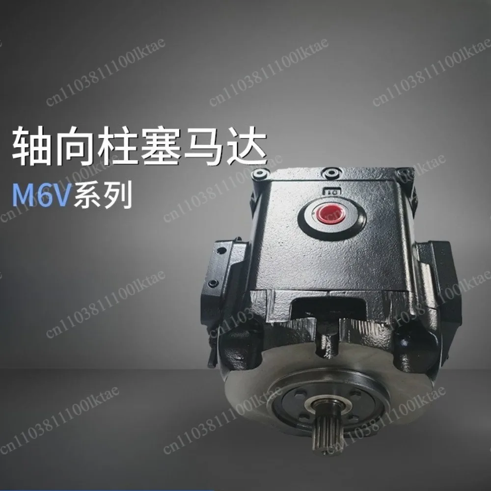 Axial hydraulic motor M6 series M6V1N1C2A0A00M203442 plunger