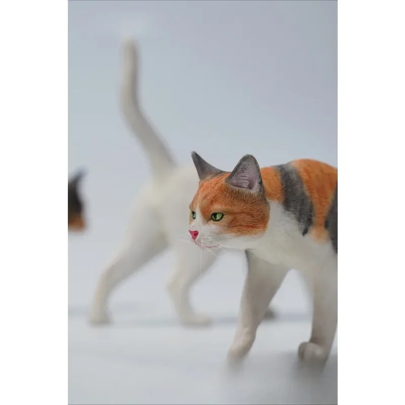 JXK 1/6 escala simulación resina Felis Catus modelo Animal lindo gato pequeño modelo de utilería para juguetes de exhibición de figuras de acción de 12"