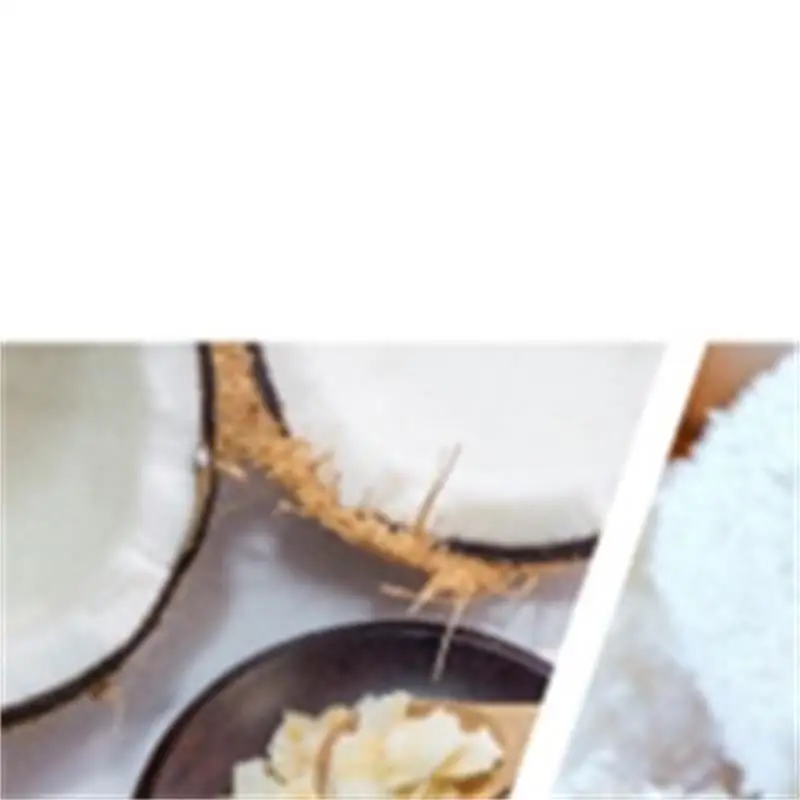 .Jz  Coconut  Commercial Automatic Coconut Grater Processing Machine