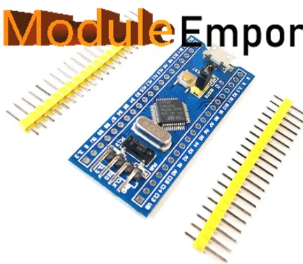 Picture 6: STM32F103C8T6 STM32 Minimum System Development Board  STM32F103C8T6/C6T6 Core Learning Board