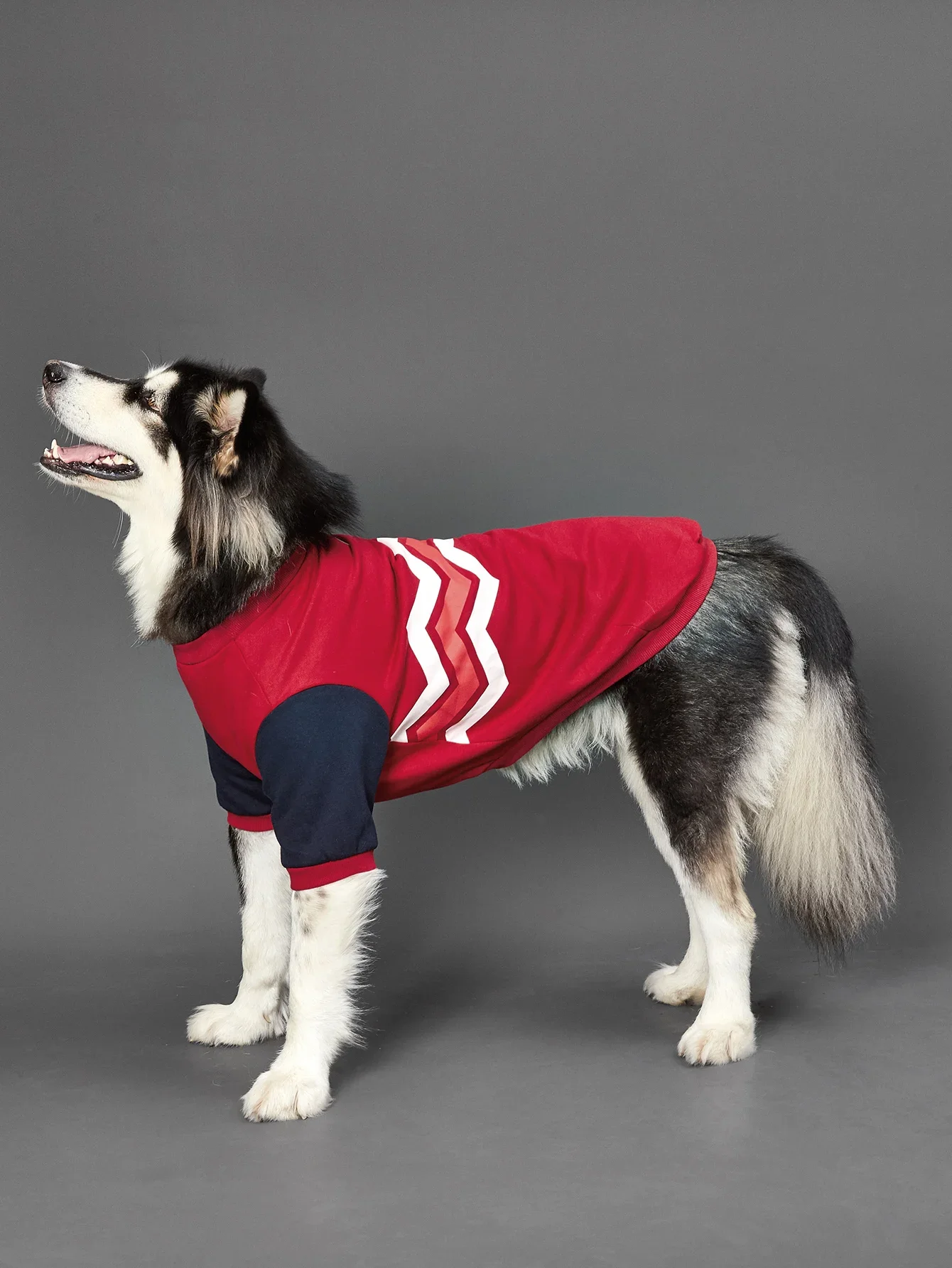 Dog Hoodie Wavy Lin…