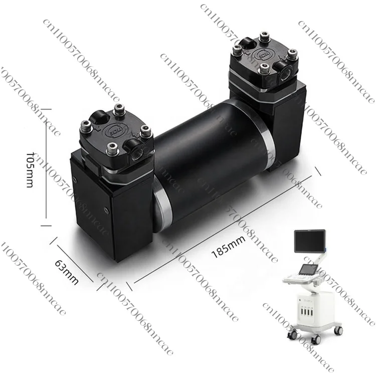 12DC12P High Pressure Stainless Steel Piston Pump 30LPM Oil Free Swing Piston Pump 12V 24v Double Head Vacuum Pump